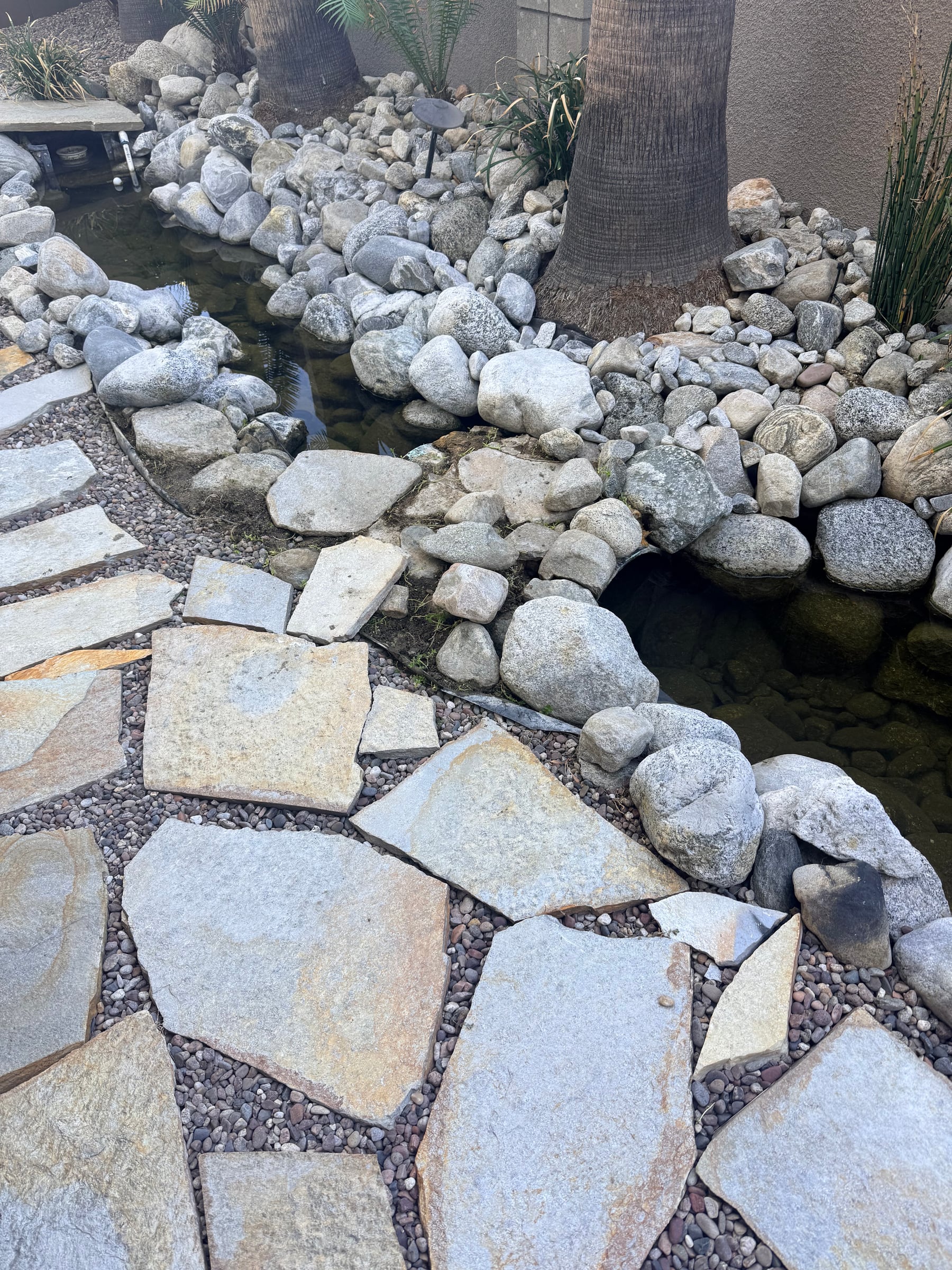 The Querencia Palms koi pond stripped to rock and water after the plantings were removed