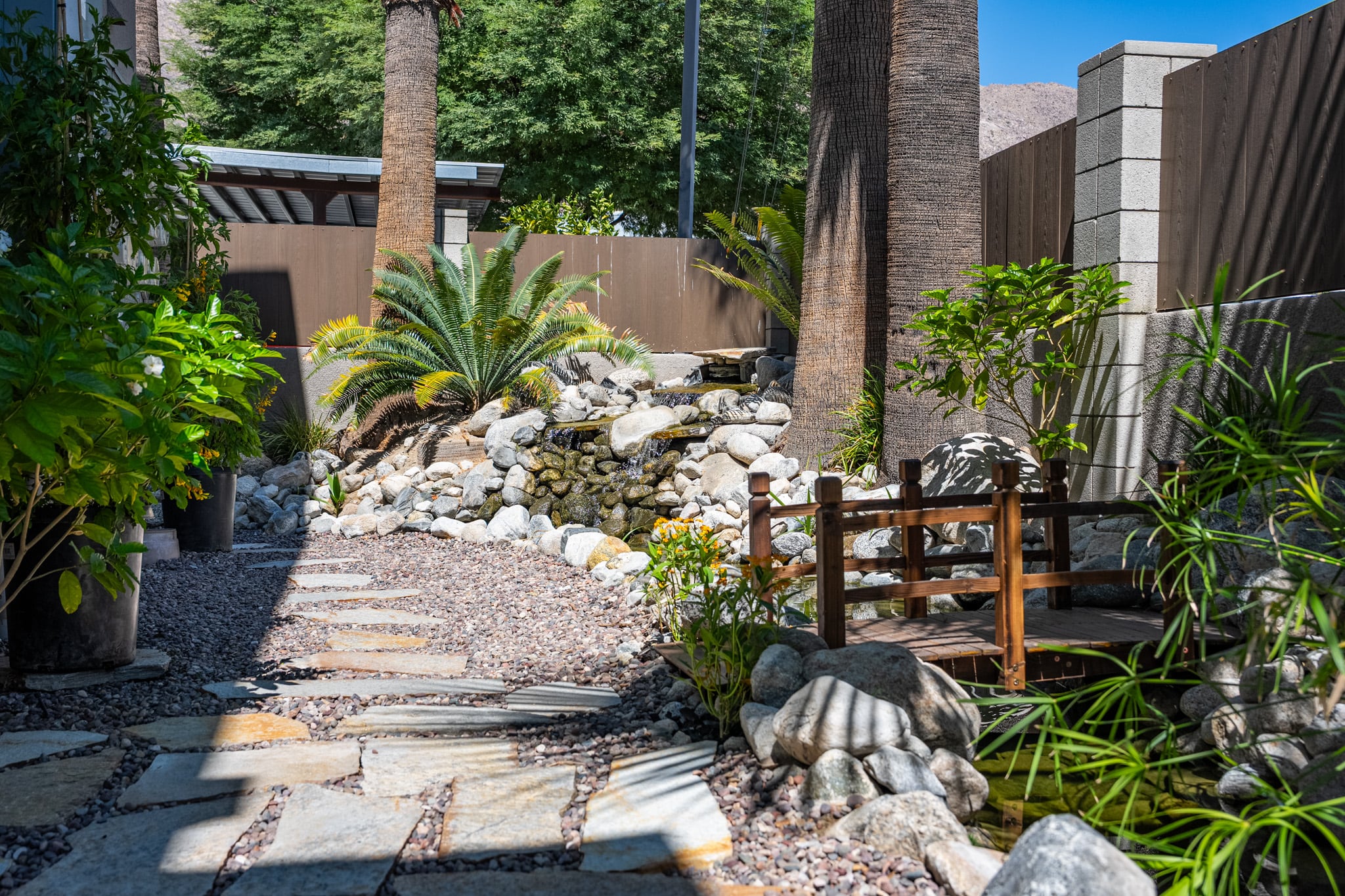 The Querencia Palms koi pond today, its banks planted with lilies, cannas and papyrus