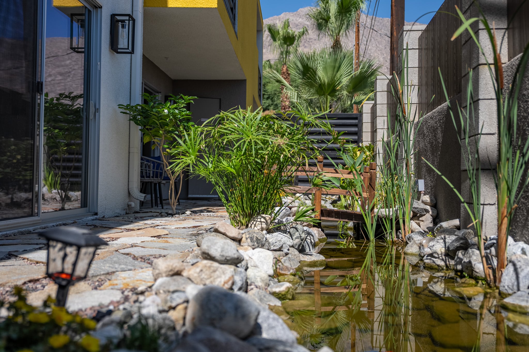 Koi pond beside Unit 105 after planting: lilies, grasses and flowering marginals along the water