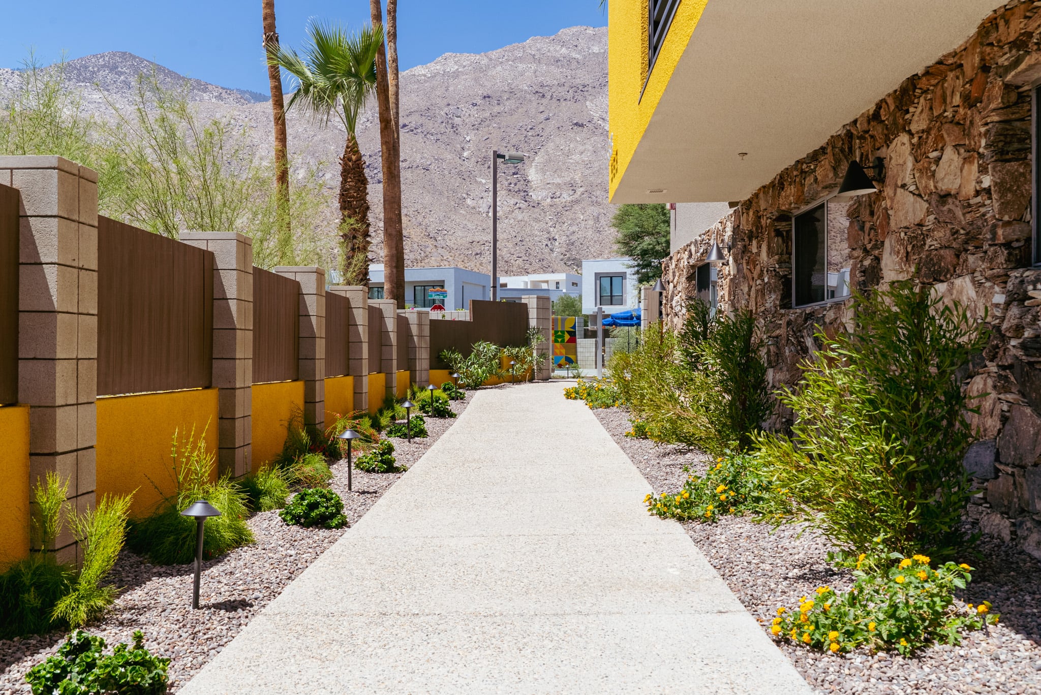 The Querencia Palms front walkway before the landscape matured