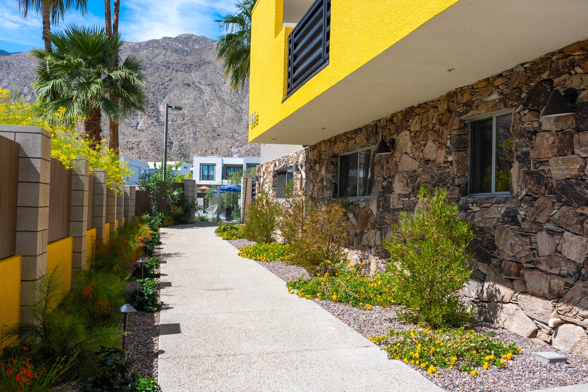 The Querencia Palms front walkway with mature planting on both sides